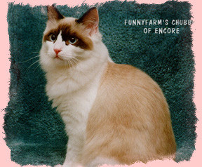 FunnyFarm Mr. Chubbs